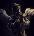 Avatar du membre