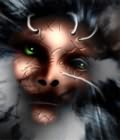 Avatar du membre